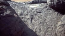 petroglyfy dabouske zirafy